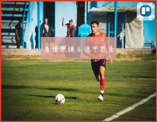 看懂樊振东德甲首秀