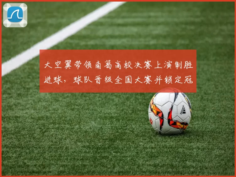 大空翼带领南葛高校决赛上演制胜进球，球队晋级全国大赛并锁定冠军热门