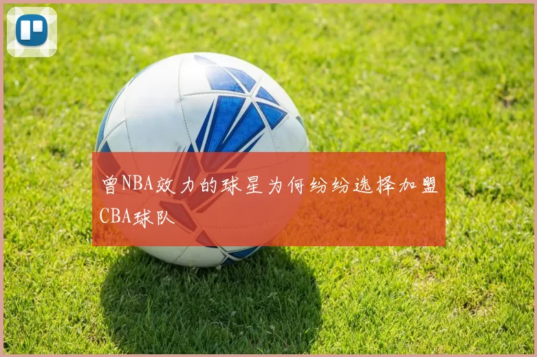 曾NBA效力的球星为何纷纷选择加盟CBA球队
