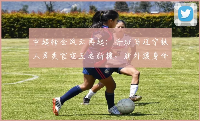 中超转会风云再起：升班马辽宁铁人另类官宣五名新援，新外援身价创中超纪录_蓉城_菲尼奥