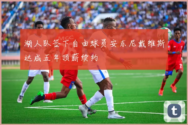 湖人队签下自由球员安东尼戴维斯达成五年顶薪续约
