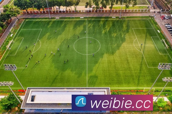 多媒体互动体验