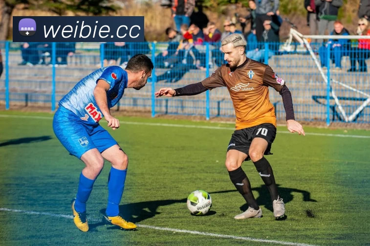 开云(中国)Kaiyun·官方网站 - 登录入口APP 高清赛事图